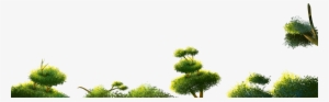 On A Particular Day, The Cry Of The Broken Sandalwood - Larch