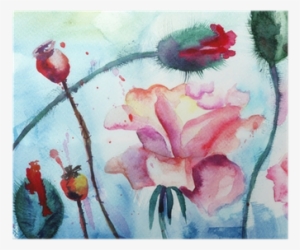 Roses With Poppy Flowers, Watercolor Painting Poster - Pintura En Acuarela