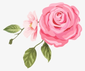 Rose1 - Svg - Flower