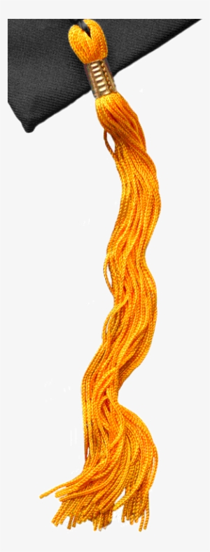 Herzing University Graduation Cap - Herzing University Online