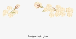 White Flowers, Creative White Flowers, Painted White - Painting