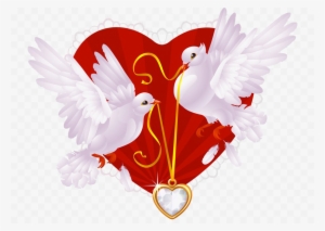 Love Birds Transparent Images - Two White Pigeons Love