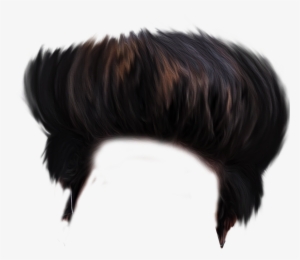 Hair Png Download Hd Quality - Picsart 25 Hd Hair Png