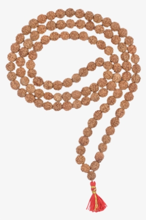 2 Mukhi Rudraksha Mala