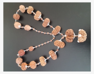 Sidha Mala Rudraksha Collection - Japamala