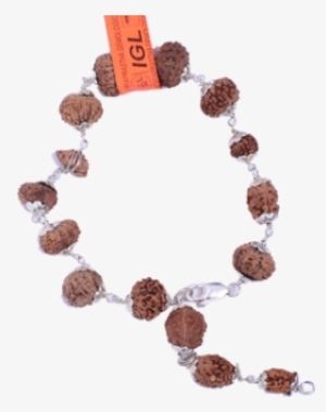 Multi Combination Multiple Purpose Rudraksha Bracelet - Bead