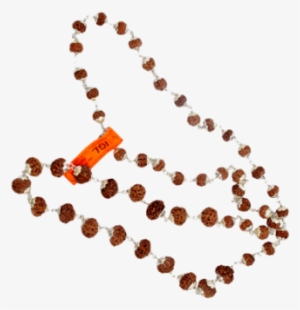 Rudraksha Mala Png