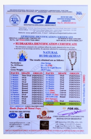Multi Combination Multiple Purpose Rudraksha Mala 26 - Blue Sapphire / Neelam / Nilam - 4.60 Ct - Lab Certified