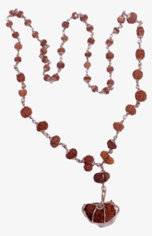 Multi Combination Multiple Purpose Rudraksha Mala 51 - Necklace