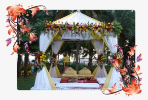 Doli - Flor De Acero: Una Mezcla De Fuerza Y Belleza