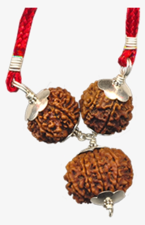 Career Growth Rudraksha - Necklace