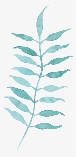 Corresponding Growing Leaves Cartoon Transparent - Watercolor Painting