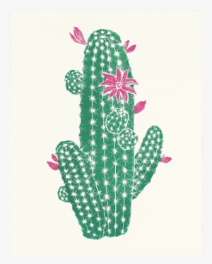 Echinocereus Ortegae - Prickly Pear