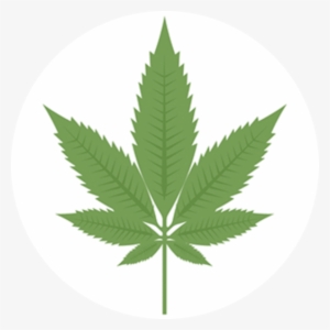 Indica - Marijuana Leaf