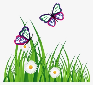 Adobe Illustrator Graphic Design Download - Vector Graphics