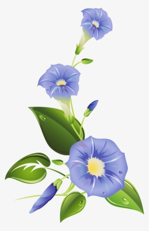 Ipomoea Purpurea Morning Glory Ipomoea Indica Ipomoea - Morning Glory Flower Clipart