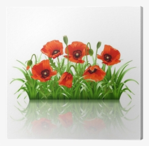 Наклейка Декоративная Decoretto Долина Маков