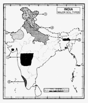 On The Outline Map Of India, Identify The Soil Types - Types Of Soil Class 10 Map