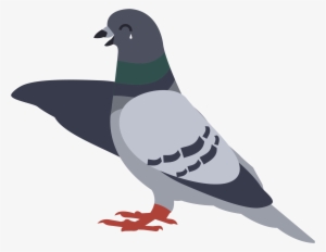 Clipart Free Fails Premier Control - Rock Dove