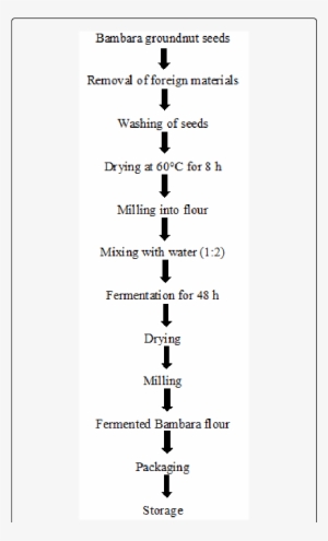Process Flow Chart For The Production Of Fermented - Fermentation