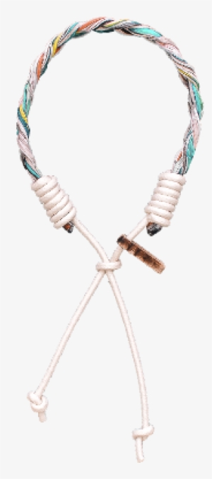 Limited Edition - Archive