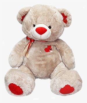 Valentine Plush - Valentine Bear Transparent