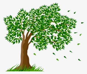 Tree Transparent Clipart Picture - Transparent Background Tree Clipart
