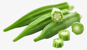 Lady Finger Png Transparent Image - Emerald Okra - 100 Seeds - Spineless