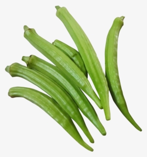 Okra Png