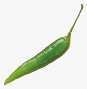 Long Green Chilli - Bird's Eye Chili
