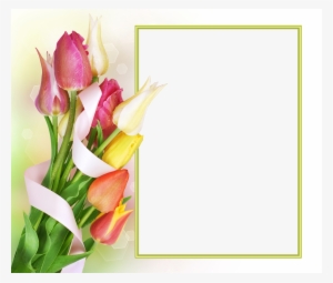 Flowers Tulip Frame Png