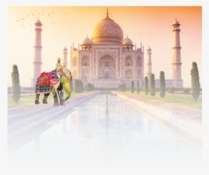 Our Chefs Take Great Pride In Cooking In Only The Highest - Taj Mahal