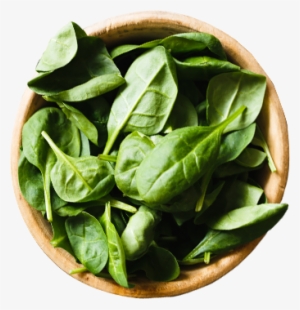 June 3, 2018 Full Resolution - Tri Fold Restaurant Menu