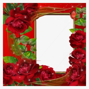 Beautiful Red Roses Transparent Photo Frame - Red Roses Photo Frames