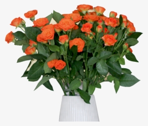 Wholesale Fresh Cut Rose Flowers For Wedding - Bouquet