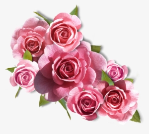 Bienvenue Dans Mon Jardin Secret Wedding Rose Flower - Rosa Cor De Rosa Png