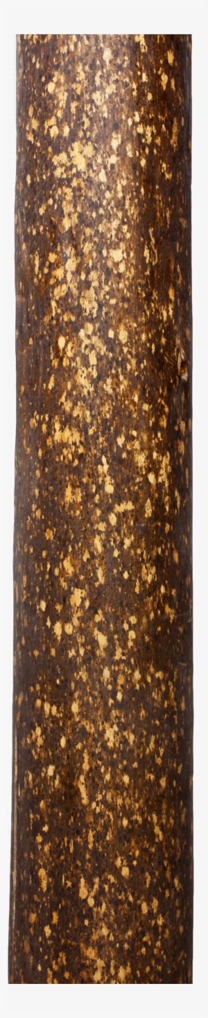 Kitayama Hinoki Sabi Maruta - Tree Wood Png Hd