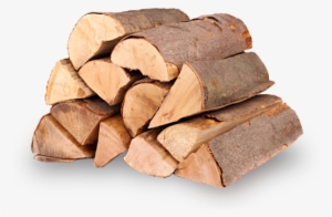 Help Stop The Destruction Of Canadian Trees - Cepilec Drv Električni