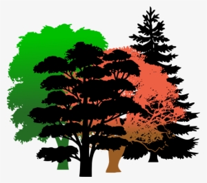 How To Set Use Wood Clipart