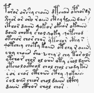 Text Sample - - Voynich Manuscript Writing