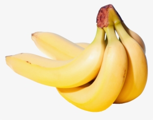 Potassium-rich Bananas Help You Replace Nutrients That - Saba Banana