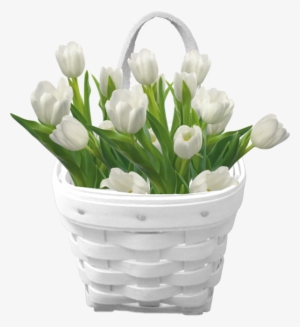 Florist In Gisborne Nz - Bouquet White Tulips Png
