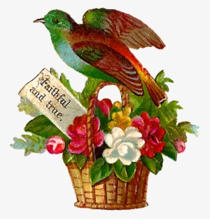 Each Little Bird Perched On The Flower Baskets Are - Illustration