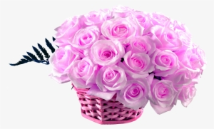 50 Pink Roses Basket - Wednesday Good Morning Wishes