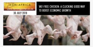 A Clucking Good Way To Boost Economic Growth - Chlorine Chicken