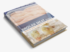 Practical Guide To Improving Poultry Meat Quality - Broiler