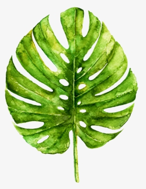 Non-spoiler Book Review