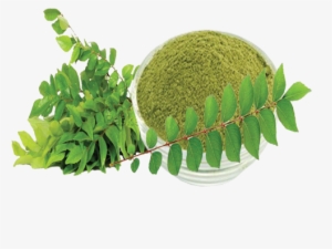 Curry Leaves Powder - Curry Leaf Powder Green
