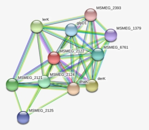 Network - Circle