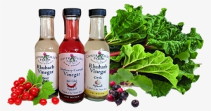 Index Illustration - Rhubarb Vegetables